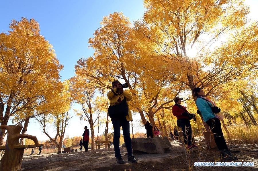 CHINA-GANSU-DESERT-AUTUMN SCENERY (CN)