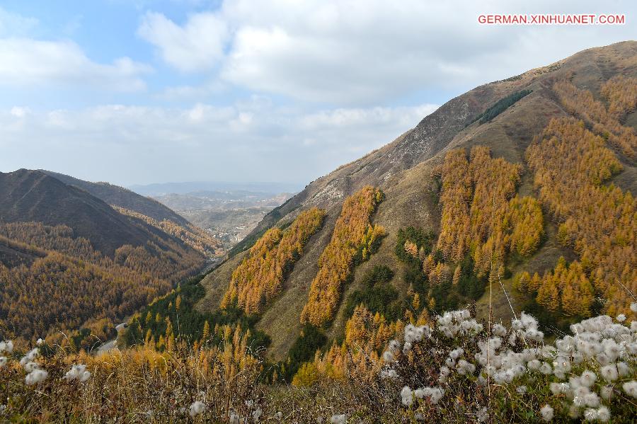 CHINA-NINGXIA-LIUPAN MOUNTAINS-AUTUMN SCENERY (CN)