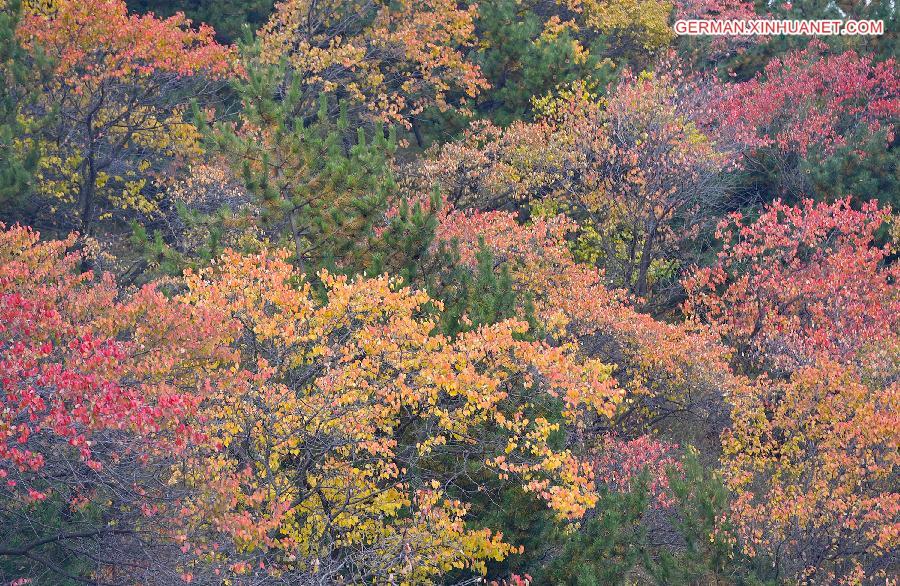 CHINA-NINGXIA-LIUPAN MOUNTAINS-AUTUMN SCENERY (CN)