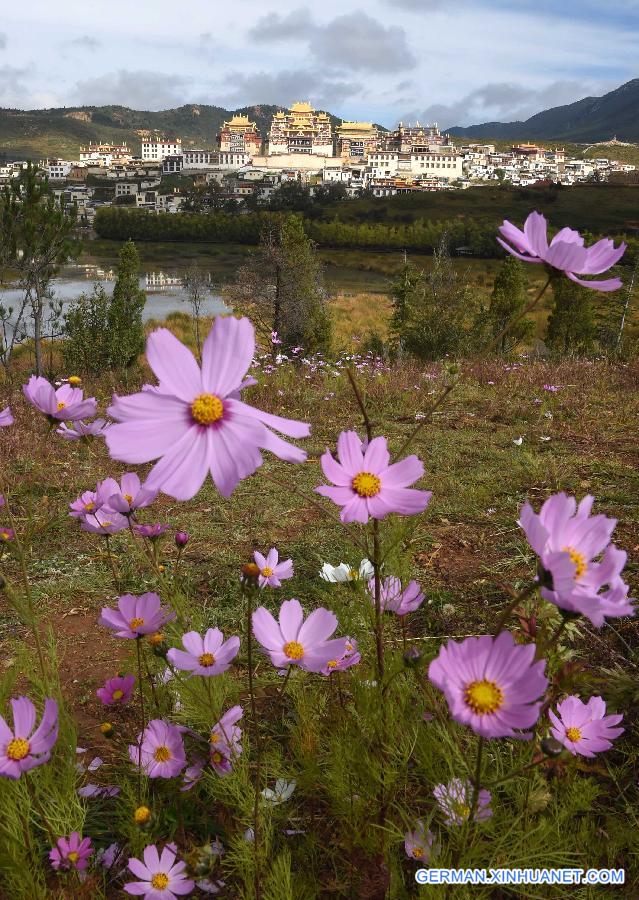 CHINA-YUNNAN-TIBETAN MONASTERY (CN) 