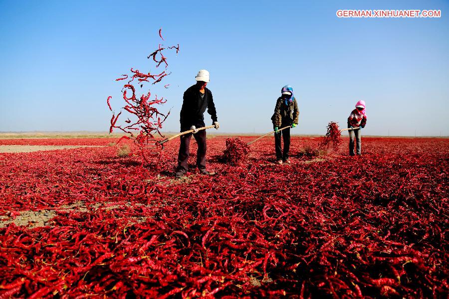 CHINA-AUTUMN HARVEST (CN)