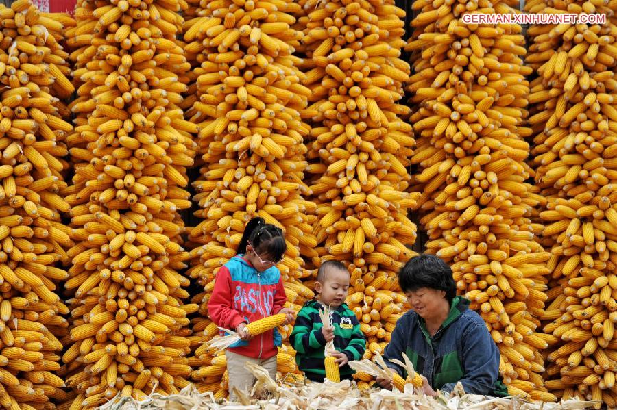 CHINA-AUTUMN HARVEST (CN)