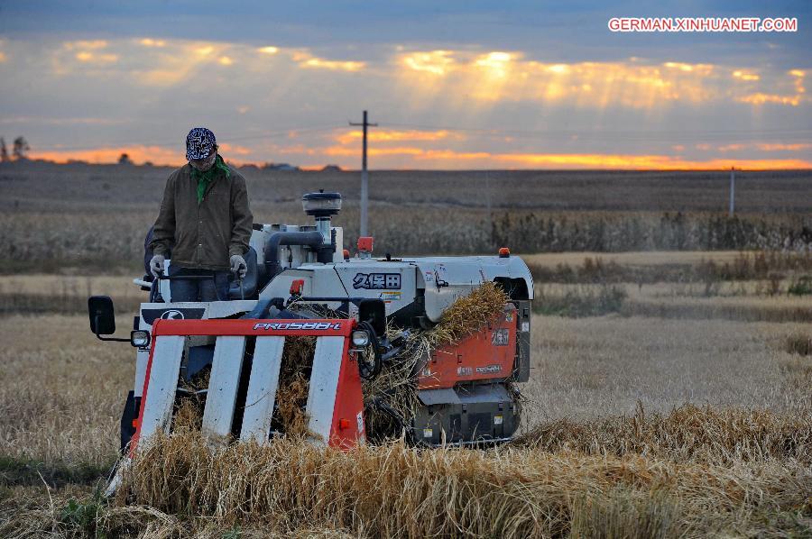 CHINA-AUTUMN HARVEST (CN)