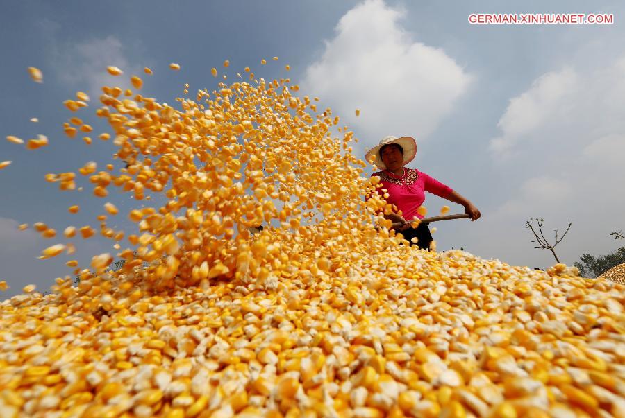 CHINA-AUTUMN HARVEST (CN)