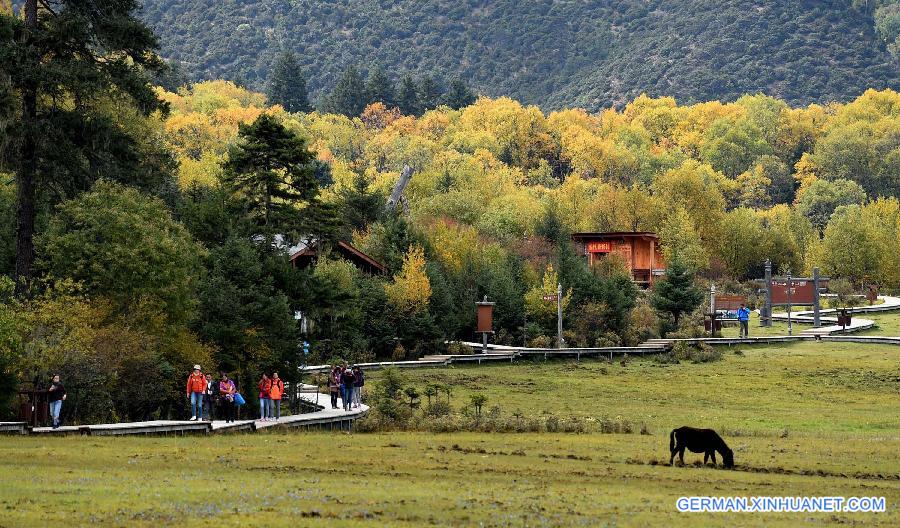 CHINA-YUNNAN-AUTUMN SCENERY (CN)