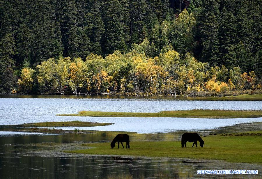 CHINA-YUNNAN-AUTUMN SCENERY (CN)