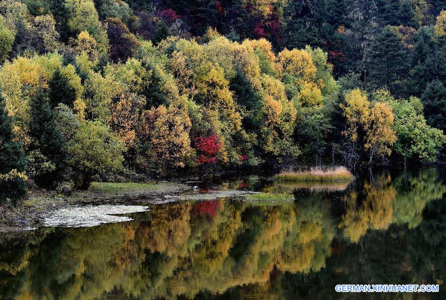 CHINA-YUNNAN-AUTUMN SCENERY (CN)