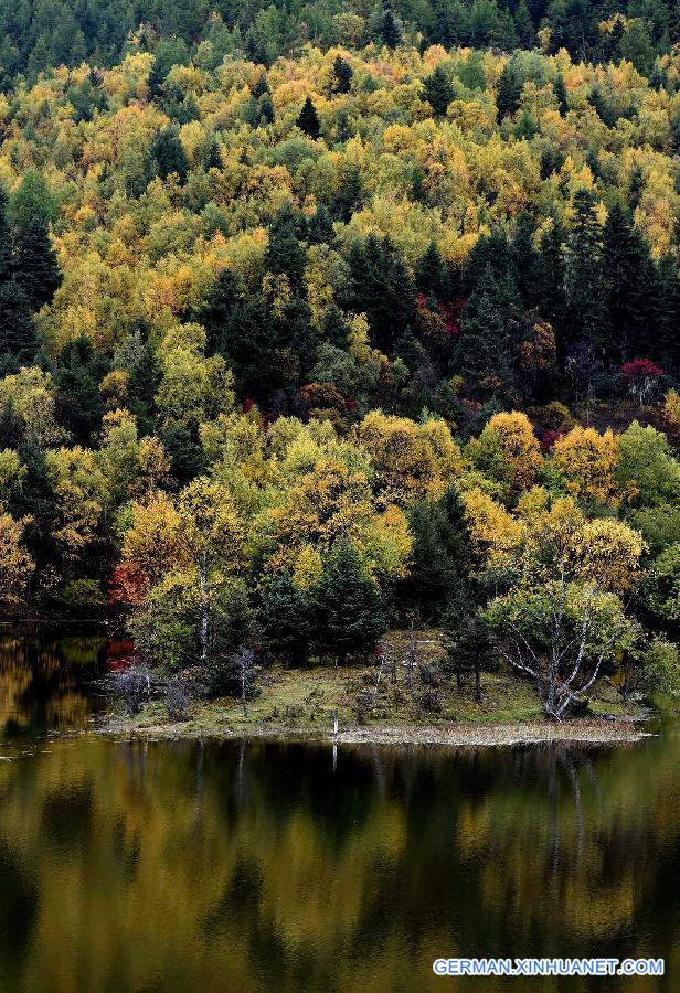 CHINA-YUNNAN-AUTUMN SCENERY (CN)