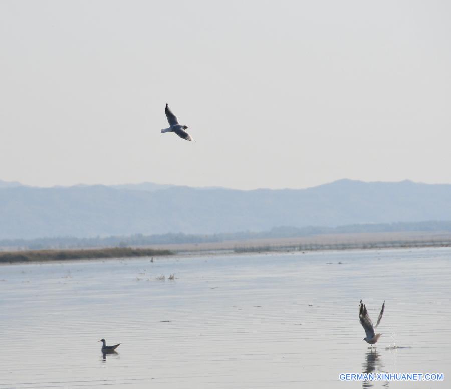 CHINA-INNER MONGOLIA-AUTUMN (CN)