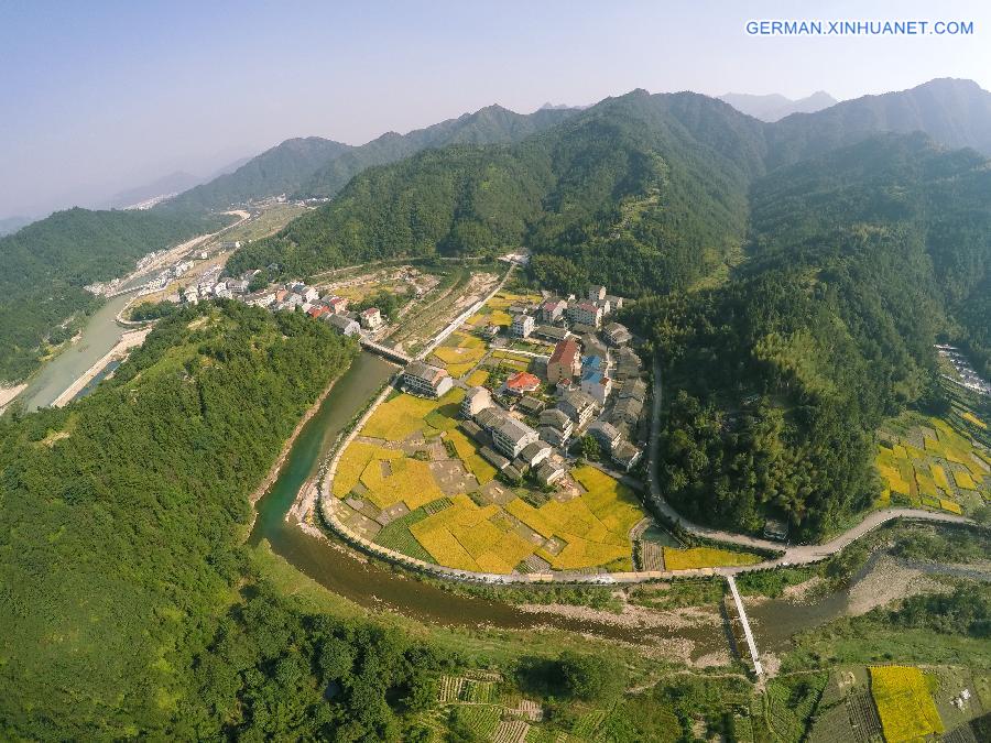 #CHINA-WENZHOU-RICE FIELD-SCENERY(CN)