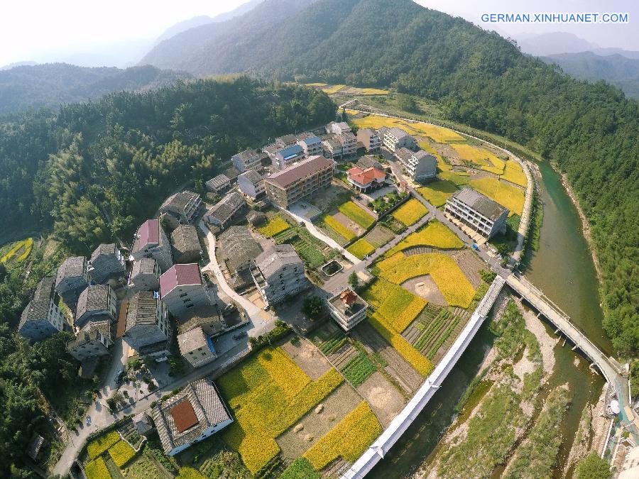 #CHINA-WENZHOU-RICE FIELD-SCENERY(CN)