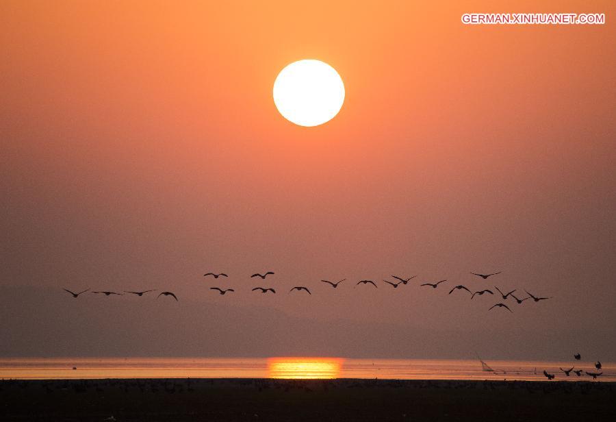 #CHINA-JIANGXI-POYANG LAKE-MIGRATORY BIRDS (CN)