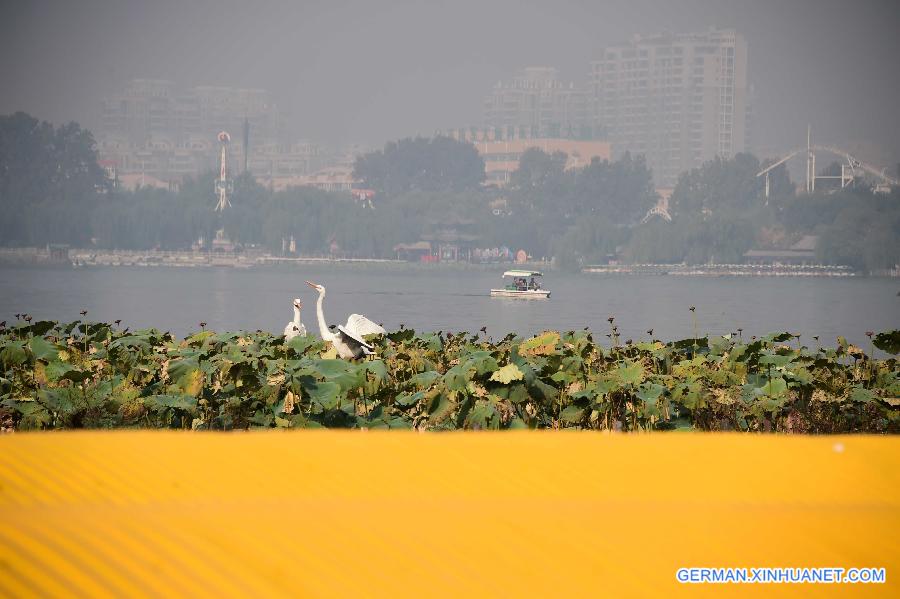 CHINA-JINAN-HAZE(CN)