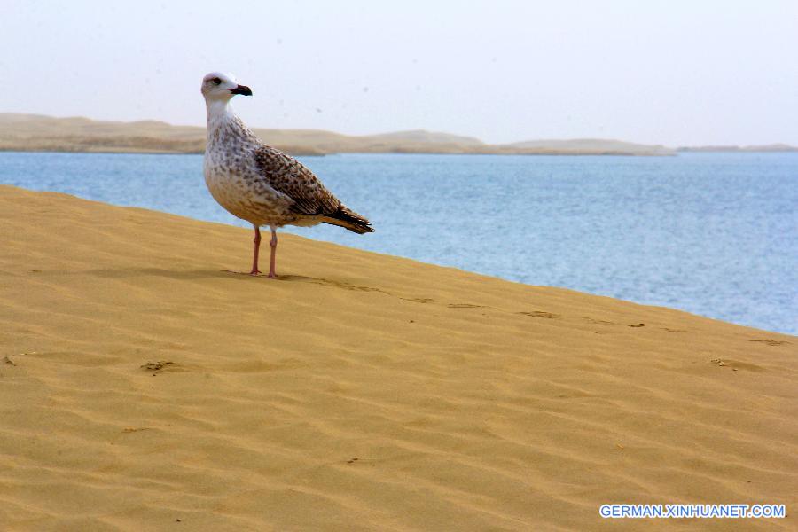 #CHINA-XINJAING-TAKLIMAKAN-KANGLAKE (CN)