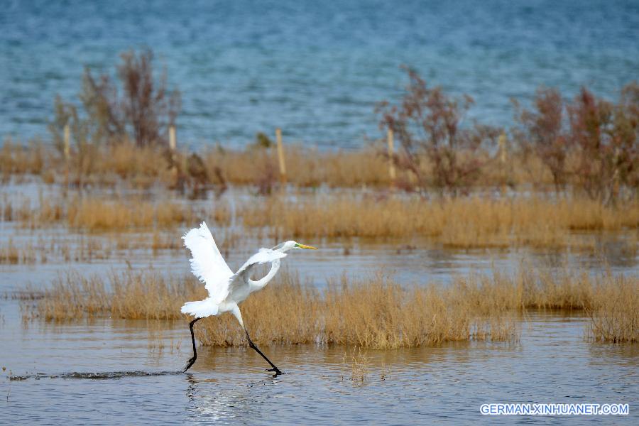 #CHINA-XINJAING-TAKLIMAKAN-KANGLAKE (CN)