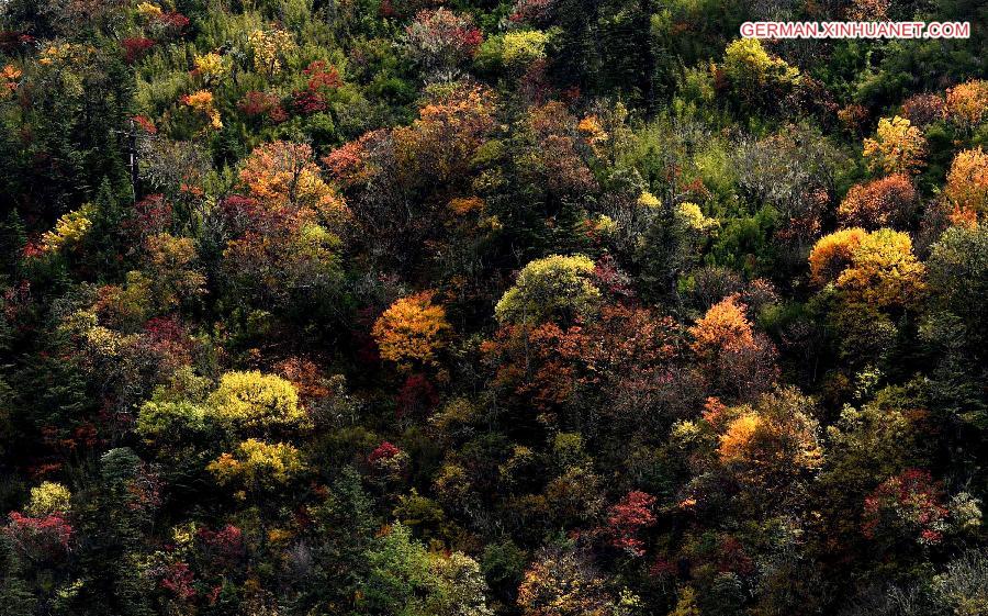 CHINA-YUNNAN-SHANGRI-LA-SCENERY (CN)