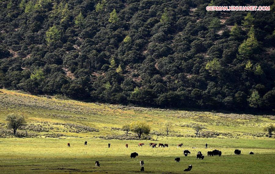 CHINA-YUNNAN-SHANGRI-LA-SCENERY (CN)