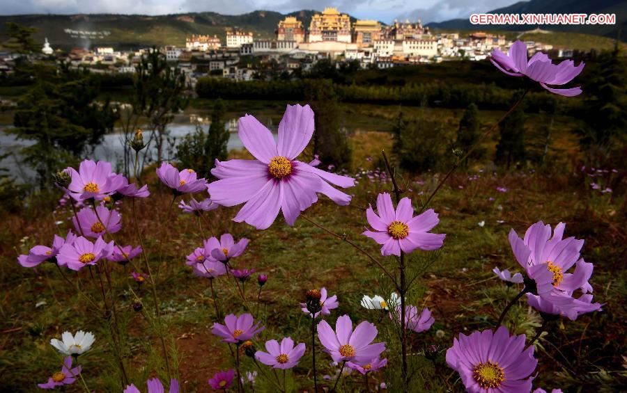 CHINA-YUNNAN-SHANGRI-LA-SCENERY (CN)