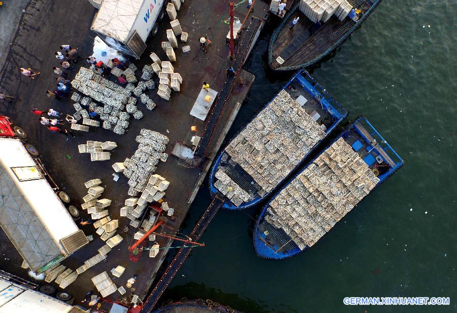 CHINA-BEIHAI-FISHING(CN)