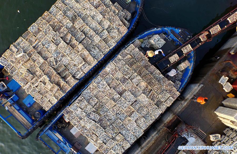 CHINA-BEIHAI-FISHING(CN)