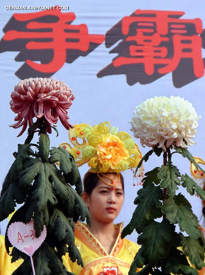 CHINA-KAIFENG-CHRYSANTHEMUM(CN)