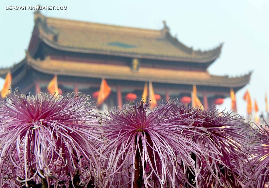 CHINA-KAIFENG-CHRYSANTHEMUM(CN)