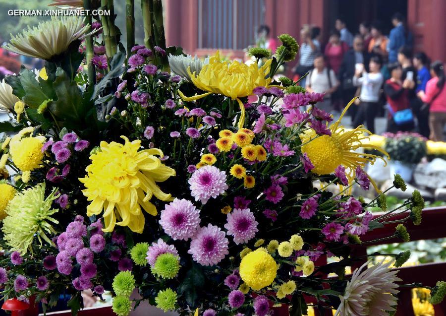 CHINA-KAIFENG-CHRYSANTHEMUM(CN)