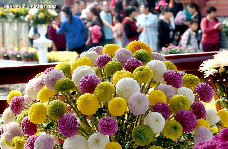 CHINA-KAIFENG-CHRYSANTHEMUM(CN)