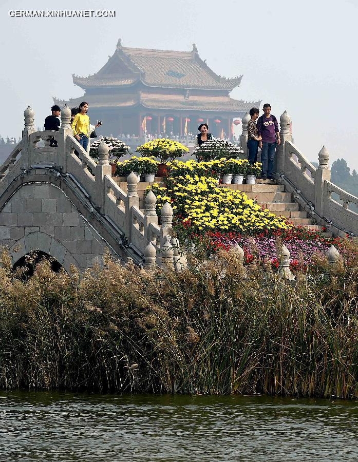 CHINA-KAIFENG-CHRYSANTHEMUM(CN)