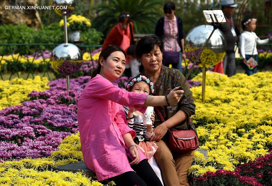 CHINA-KAIFENG-CHRYSANTHEMUM(CN)