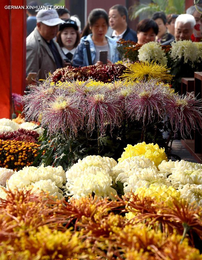 CHINA-KAIFENG-CHRYSANTHEMUM(CN)