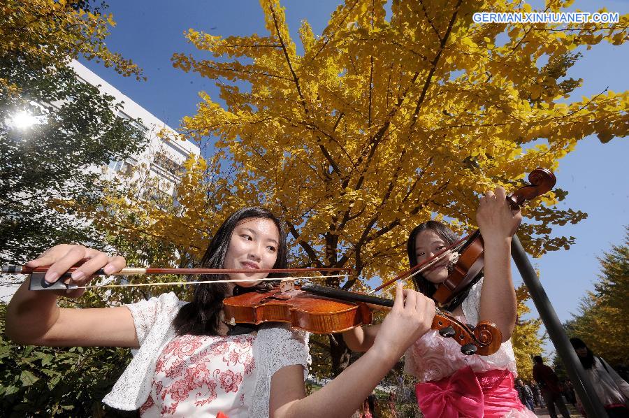 #CHINA-SHENYANG-GINGKO TREES(CN)