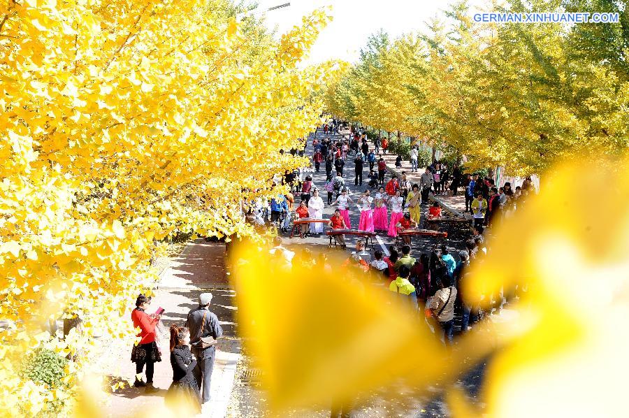 #CHINA-SHENYANG-GINGKO TREES(CN)