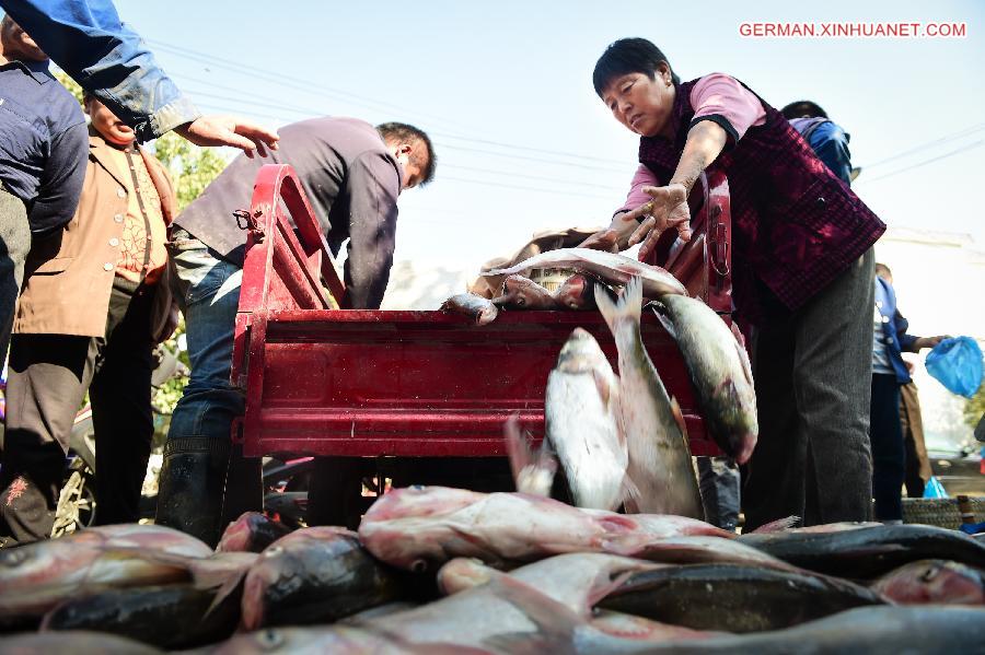 CHINA-ANHUI-FISHING SEASON-START (CN)