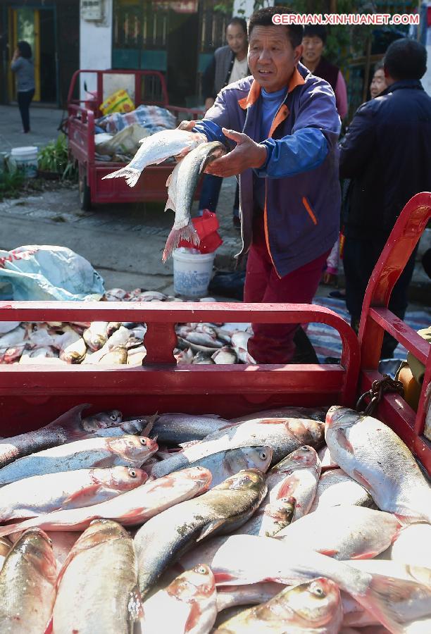 CHINA-ANHUI-FISHING SEASON-START (CN)