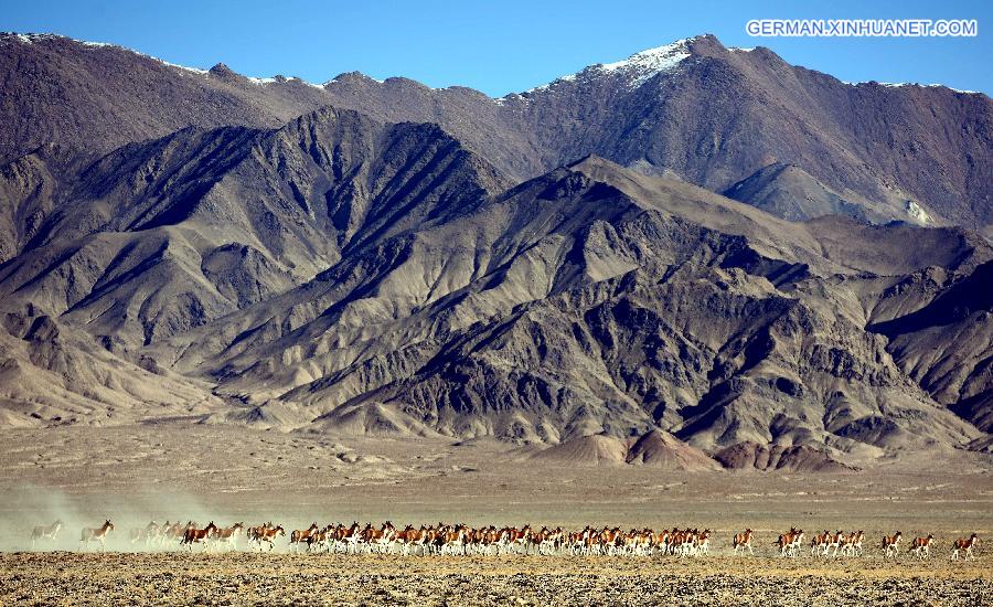 CHINA-ALTUN MOUNTAINS-SCENERY(CN)