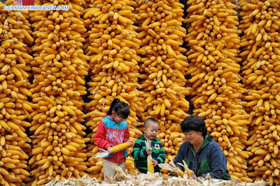 WEEKLY CHOICES OF XINHUA PHOTO