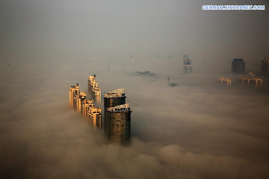 #CHINA-SHANDONG-RIZHAO-FOG (CN)