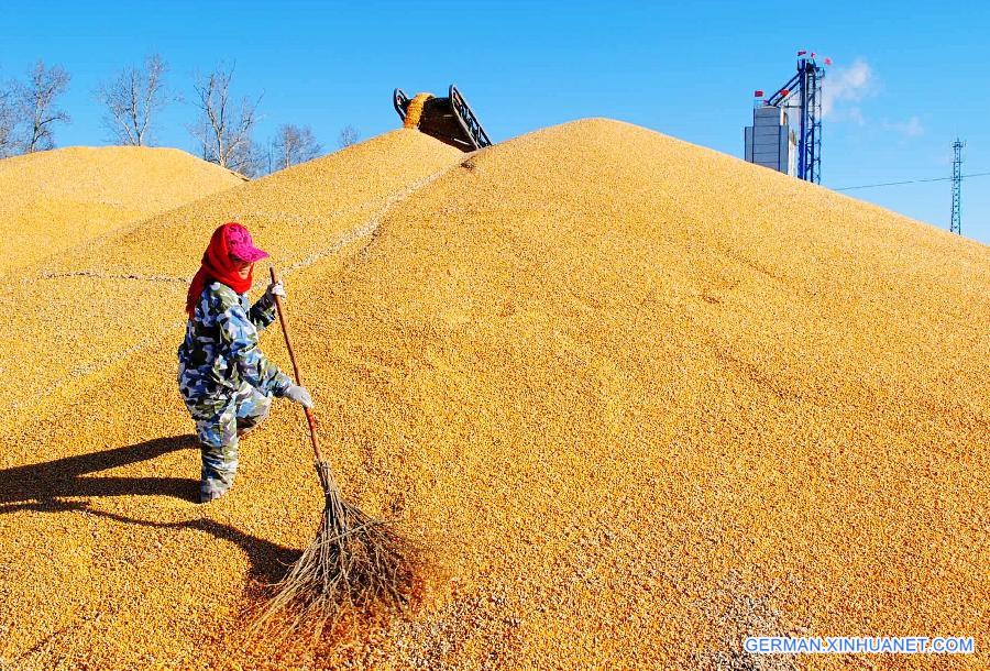 #CHINA-HEILONGJIANG-FARM WORK (CN)