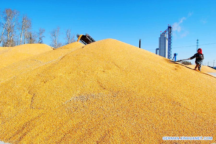 #CHINA-HEILONGJIANG-FARM WORK (CN)