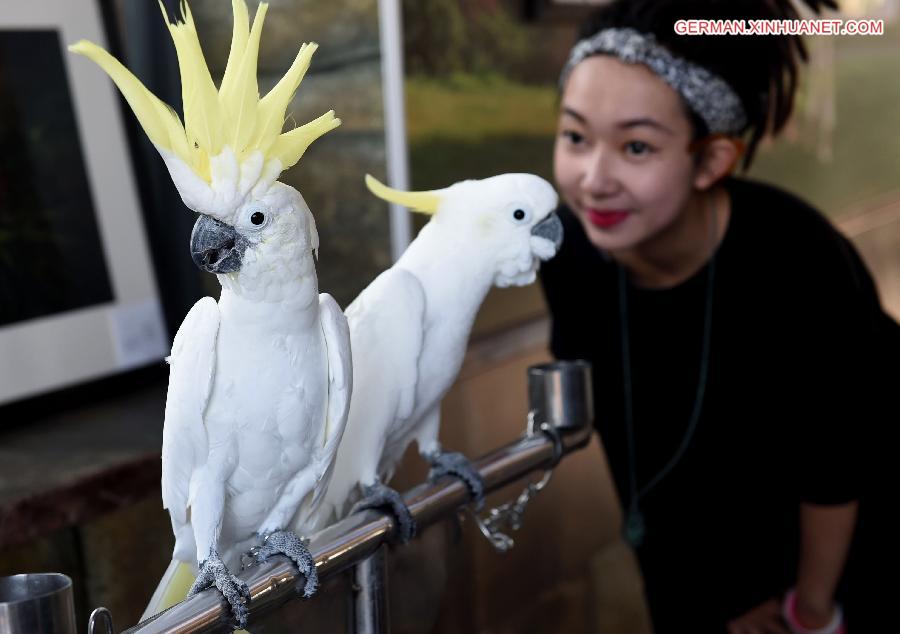 CHINA-KUNMING-ANIMALS-SUNNY DAY (CN)