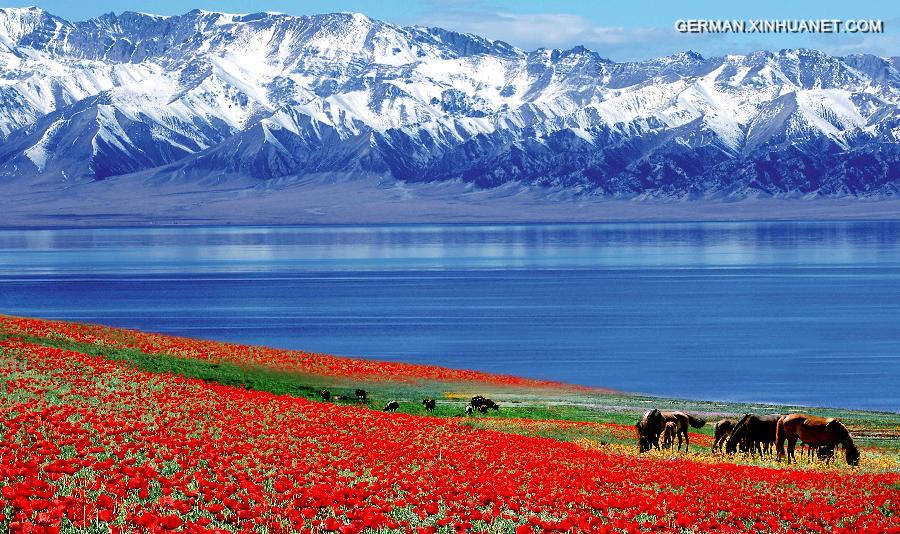 CHINA-XINJIANG-HUOCHENG-SCENERY (CN)