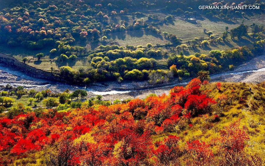 CHINA-XINJIANG-HUOCHENG-SCENERY (CN)