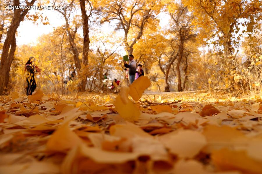 #CHINA-GANSU-DESERT POPLAR-SCENERY (CN) 