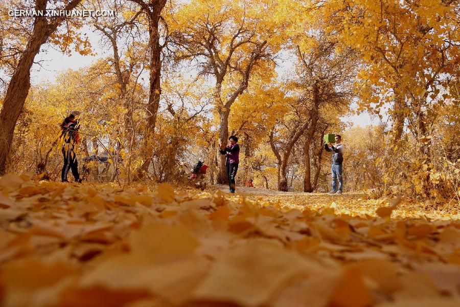 #CHINA-GANSU-DESERT POPLAR-SCENERY (CN) 