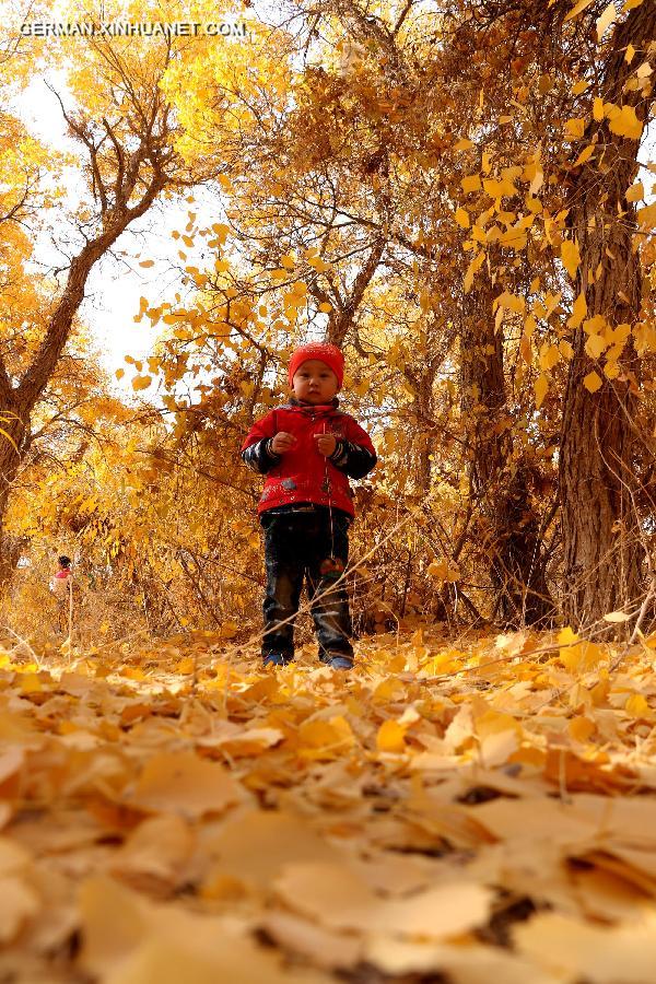 #CHINA-GANSU-DESERT POPLAR-SCENERY (CN) 