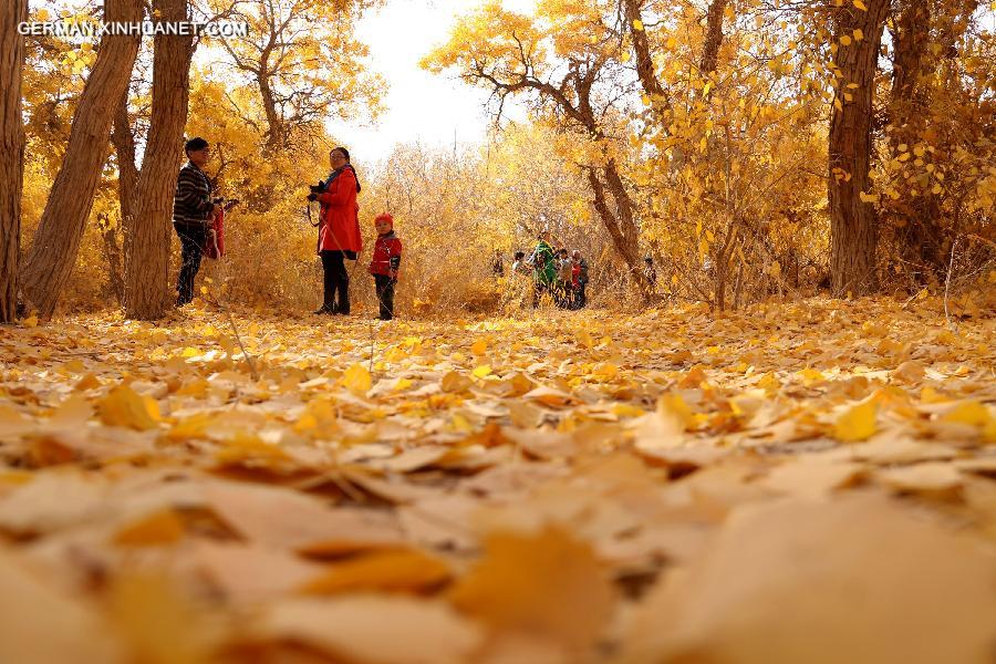 #CHINA-GANSU-DESERT POPLAR-SCENERY (CN) 