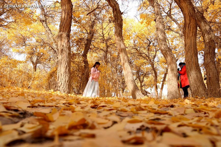 #CHINA-GANSU-DESERT POPLAR-SCENERY (CN) 