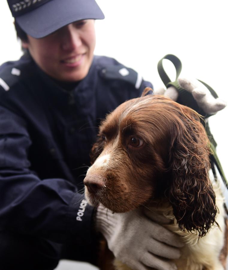 （锐视角）（1）沈阳市公安局警犬训练基地投入使用