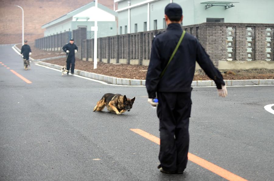 （锐视角）（2）沈阳市公安局警犬训练基地投入使用